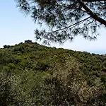 דירה I Tre Pini *